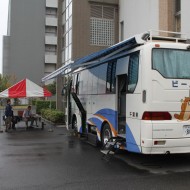 ビーバー2