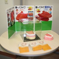 IMG_5244_R